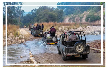Jim Corbett National park