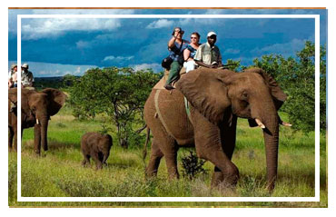 Jim Corbett National park