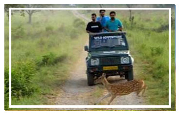Jim Corbett National park