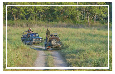 Jim Corbett National park
