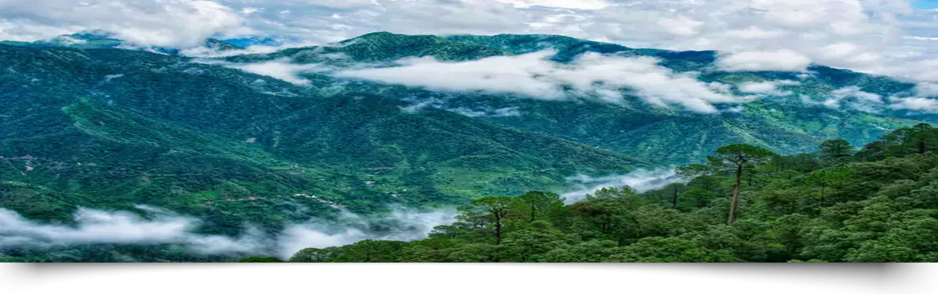 Jim Corbett National Park