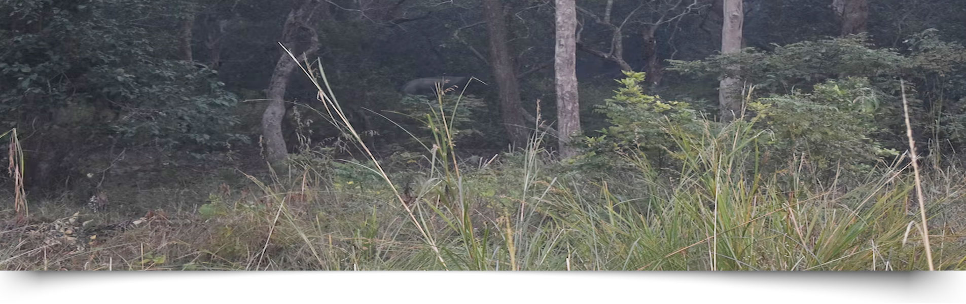 Corbett Landscape Safari Zone