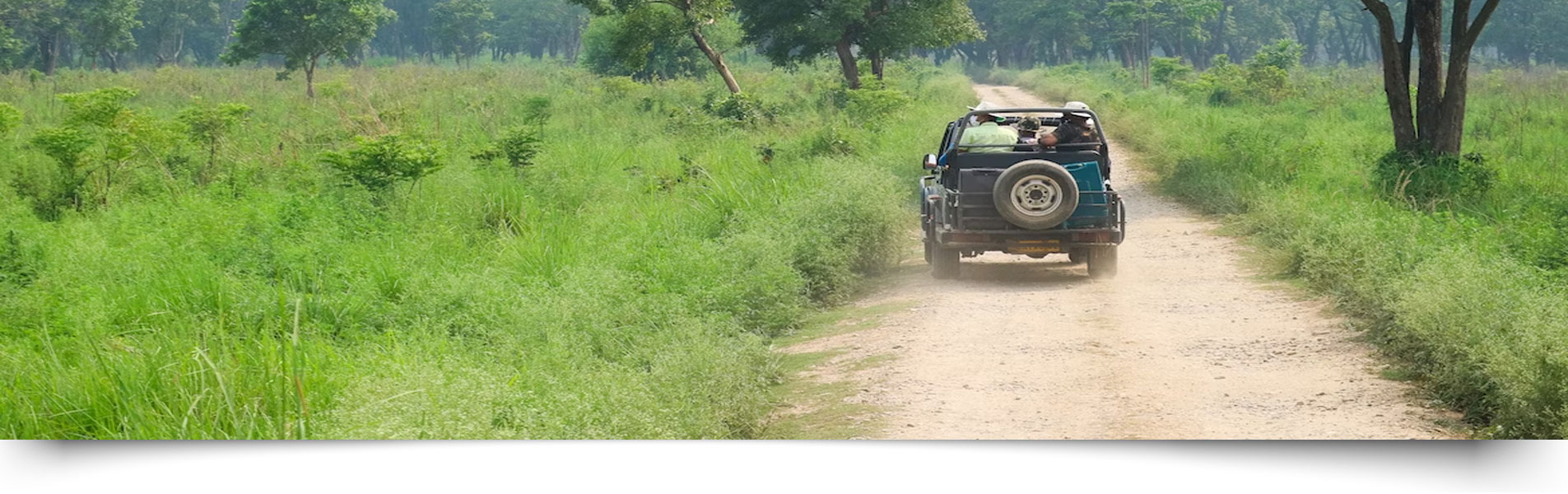 Corbett Safari Permit