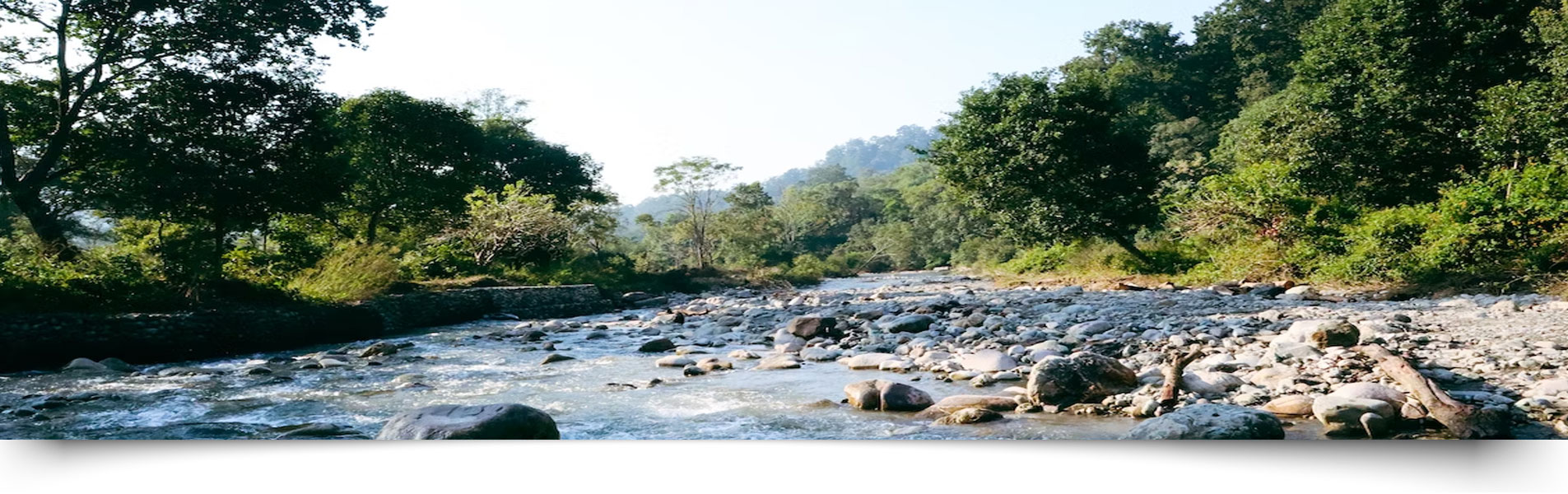 Dhela Safari Zone Jim Corbett