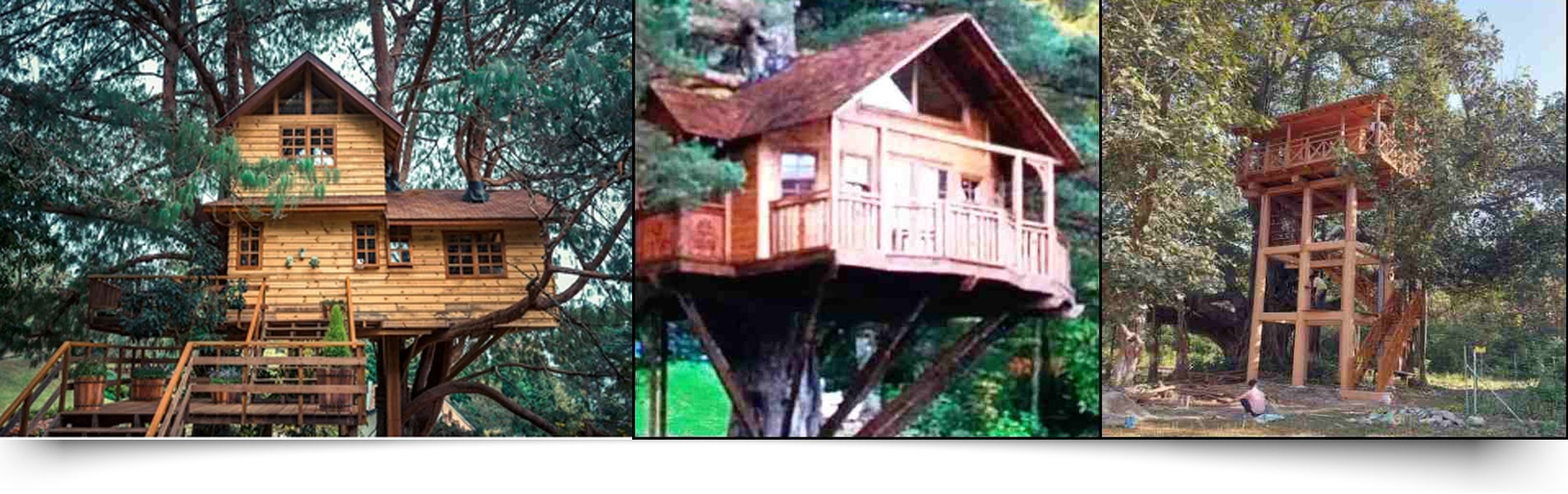 Phanto Tree House Jim Corbett